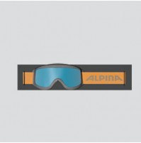 ALPINA stojan / držiak na lyžiarske okuliare do Slatwall